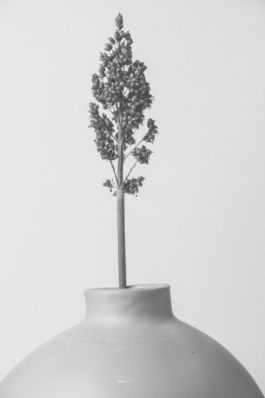 JUGO™ Creative Studio & Management Agency